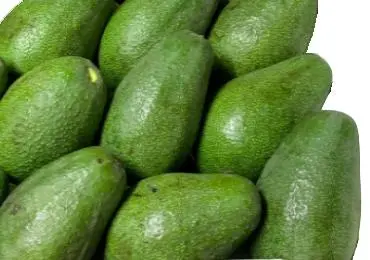 Palta Fuerte (Para madurar en dos días)